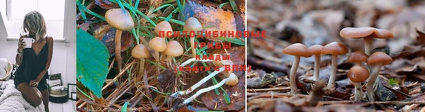 соль курить ск Алзамай