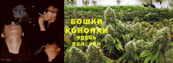 дурь Переславль-Залесский